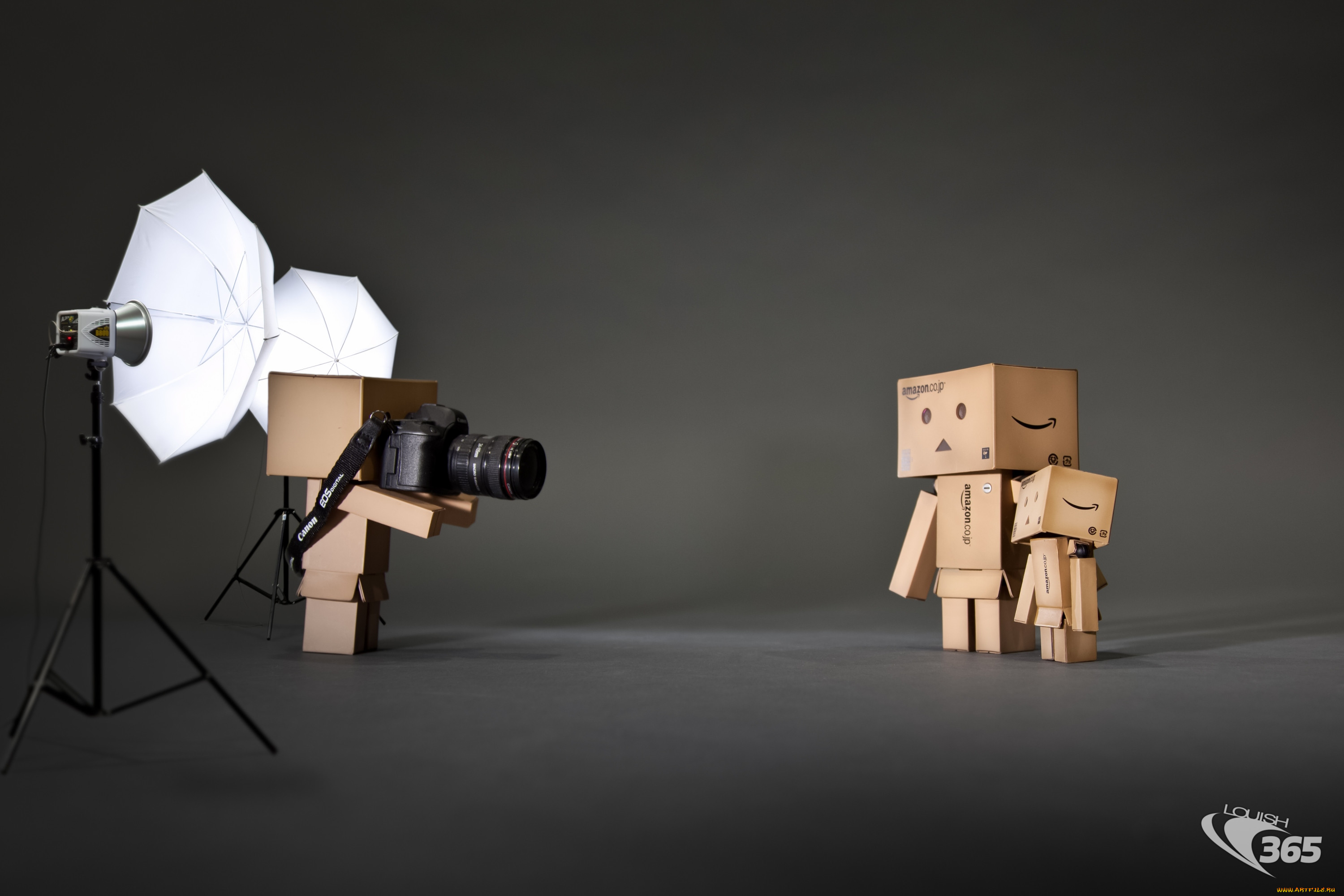 , , danboard, 